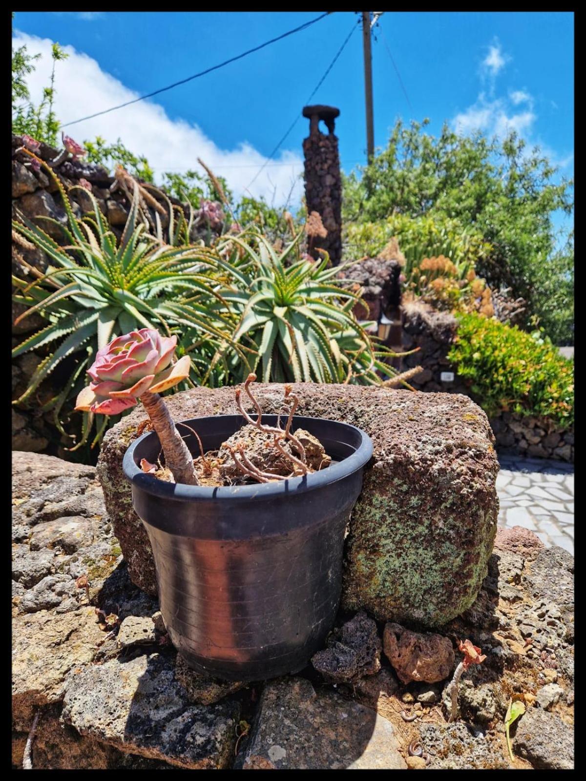 Isora Casa Rural Faustina المظهر الخارجي الصورة